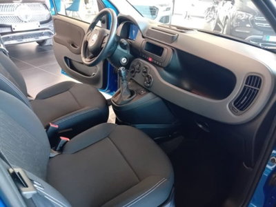 Fiat Panda 1.0 firefly hybrid s&s 70cv 5p.ti (9)