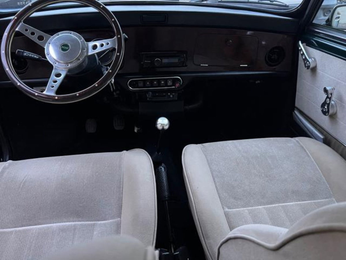 Rover Mini 1.3 cat Caribbean (12)