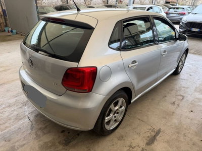 Volkswagen Polo 1.6 TDI DPF 5 porte Trendline (6)