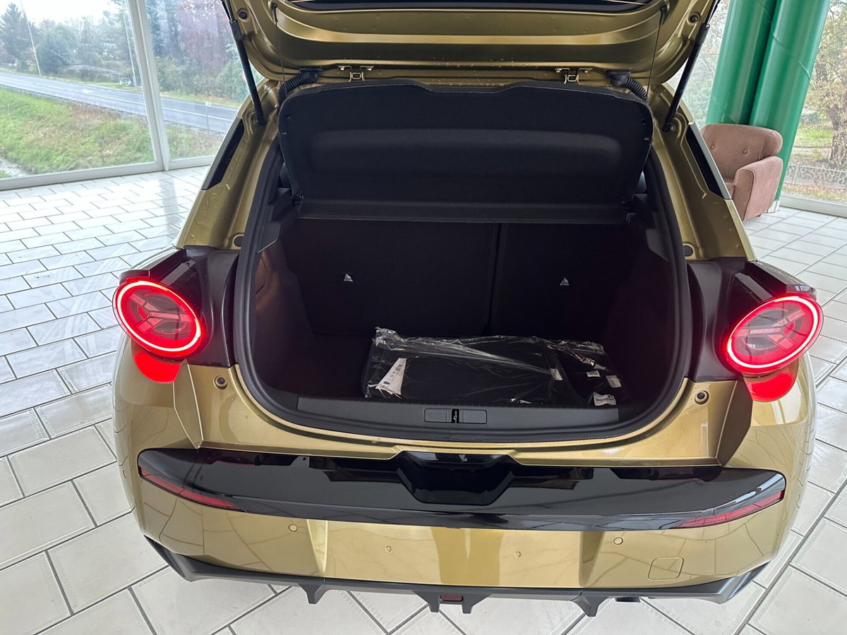 Lancia Ypsilon 1.2 mhev Edizione Limitata Cassina e-dct (12)