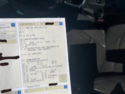 BMW X3 2.0d cat (2)