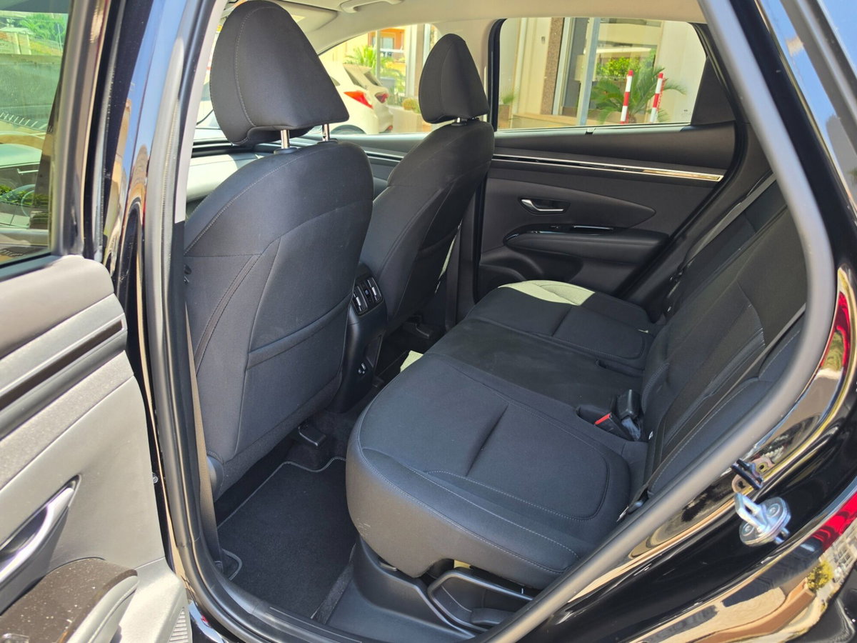 Hyundai Tucson 1.6 hev Exellence 4wd auto (19)