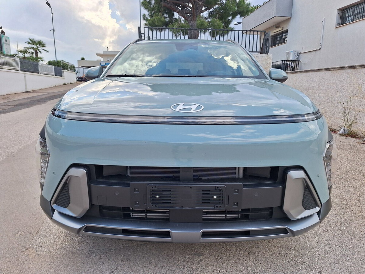 Hyundai Kona 1.0 t-gdi Gpl Business 2wd 110cv mt (16)