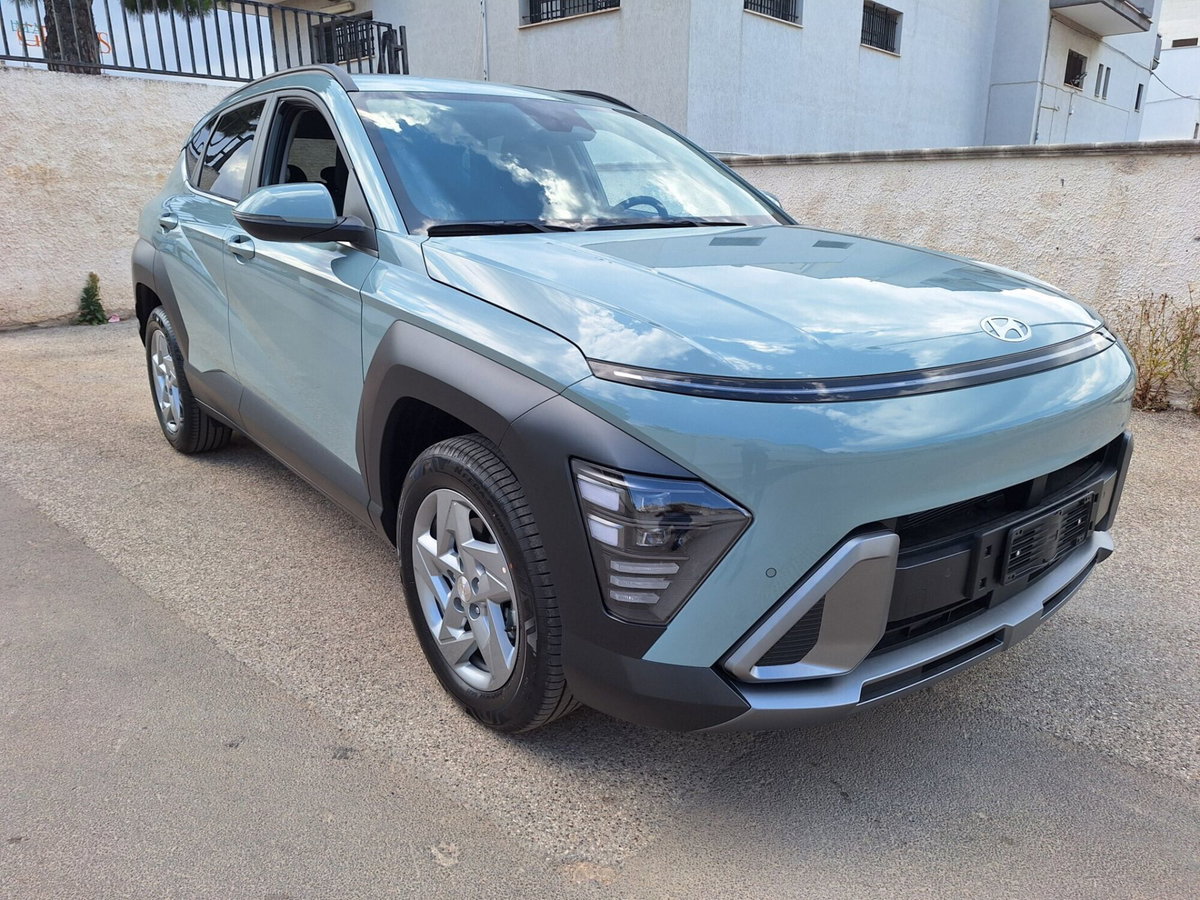 Hyundai Kona 1.0 t-gdi Gpl Business 2wd 110cv mt (17)