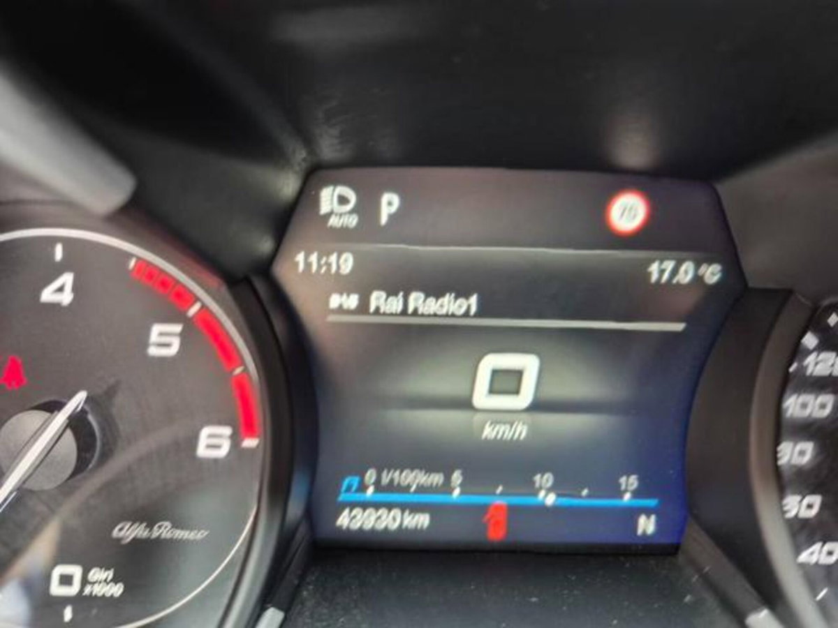 Alfa Romeo Stelvio Stelvio 2.2 Turbodiesel 210 CV AT8 Q4 Veloce (20)