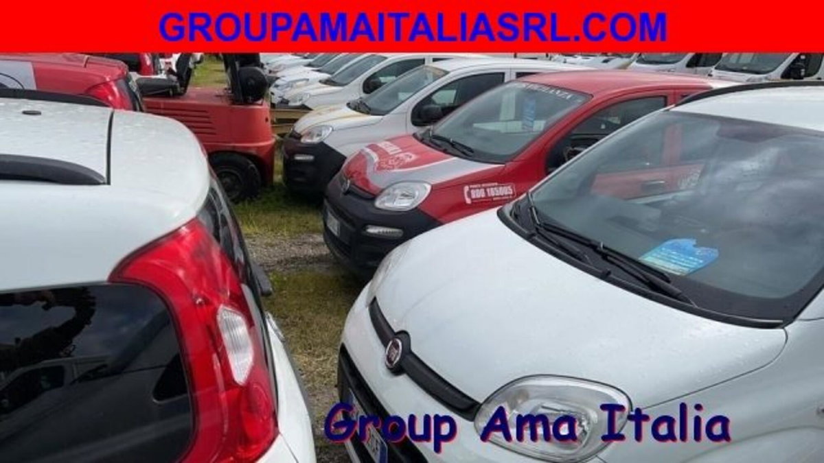 Fiat Panda 1.3 MJT 4x4 Pop Van 2 posti