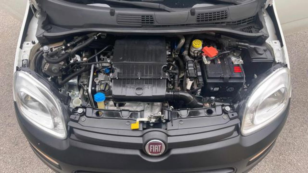 Fiat Panda 1.2 GPL Pop Van 2 posti (12)
