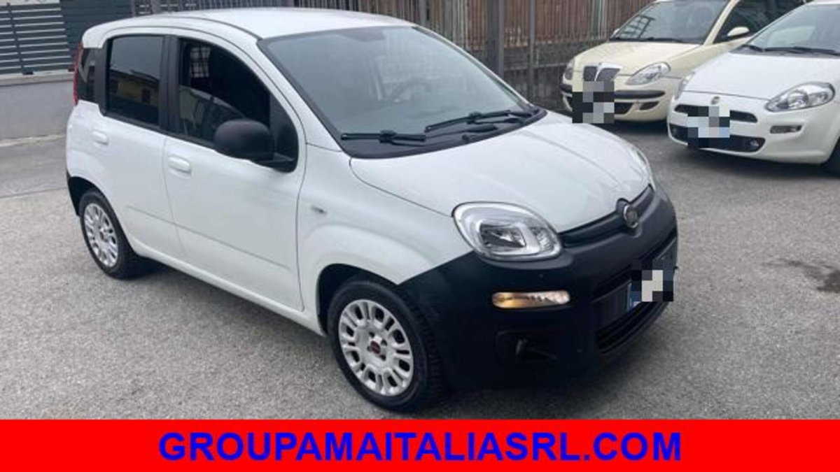 Fiat Panda 1.2 GPL Pop Van 2 posti (4)