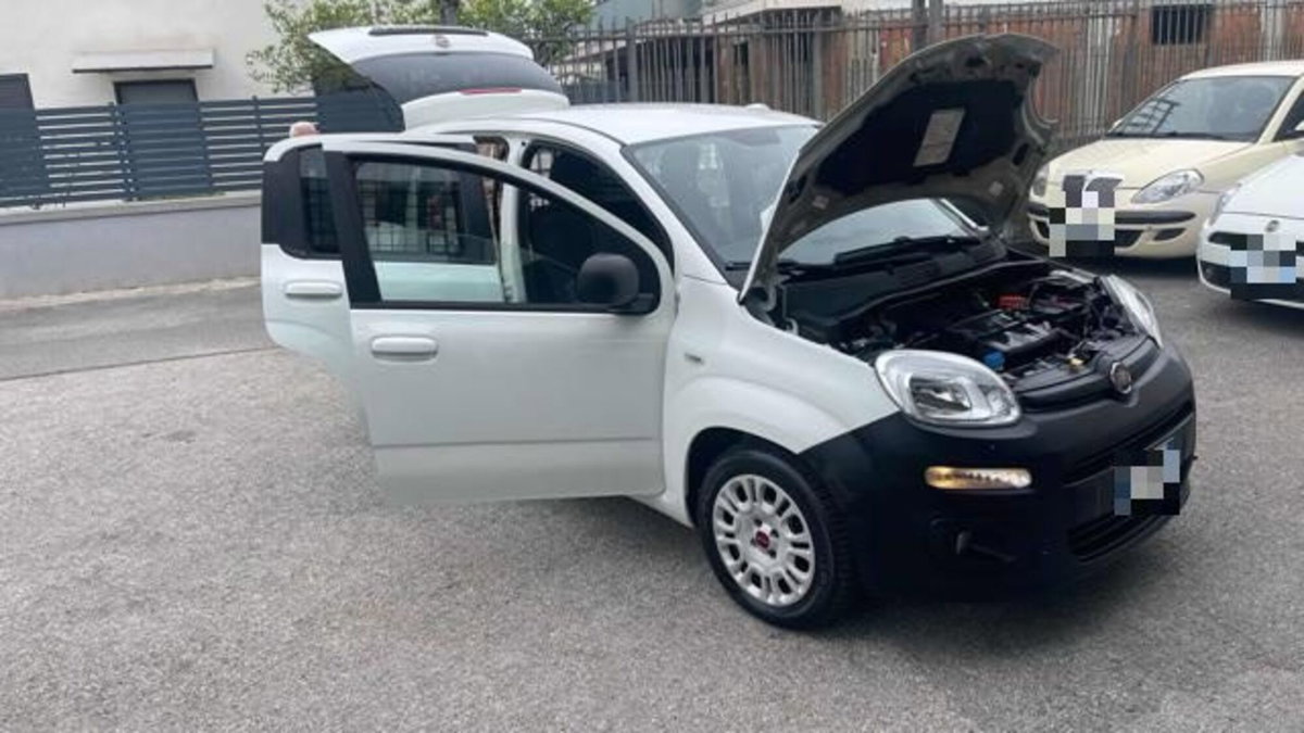 Fiat Panda 1.2 GPL Pop Van 2 posti (8)