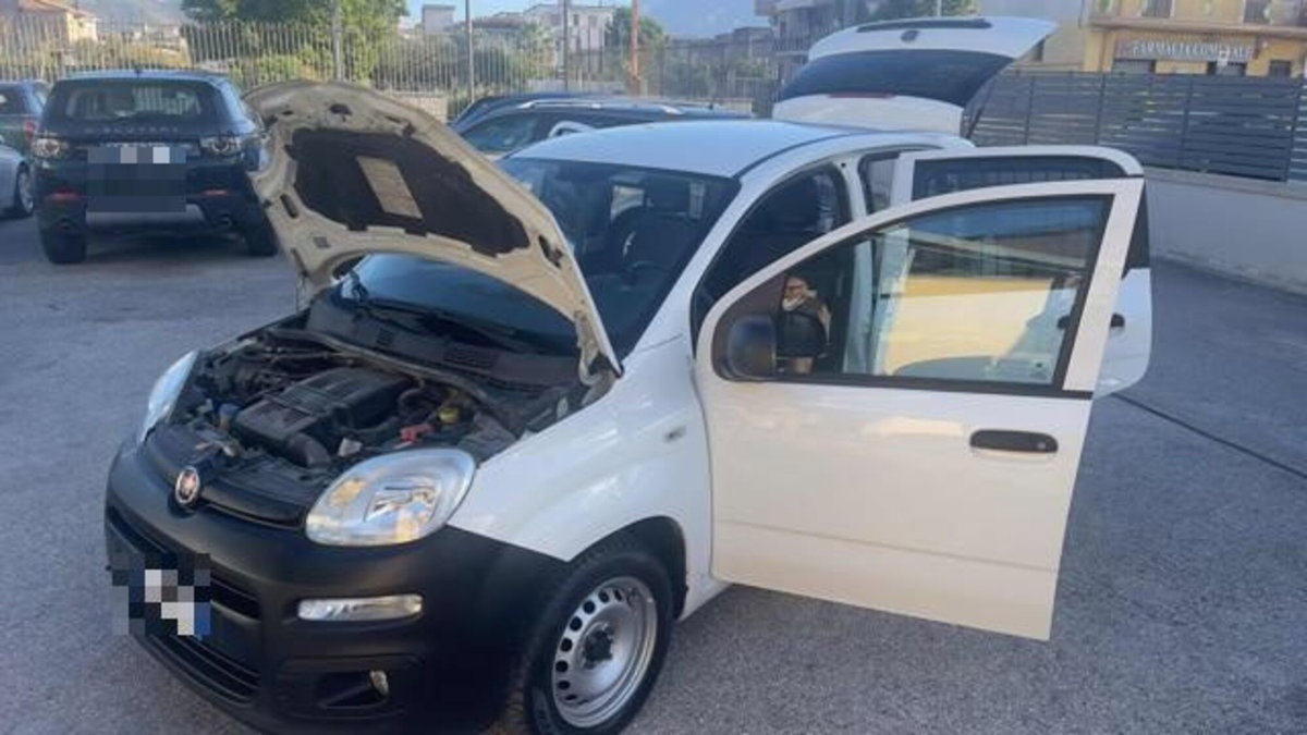Fiat Panda 1.2 GPL Pop Van 2 posti (10)