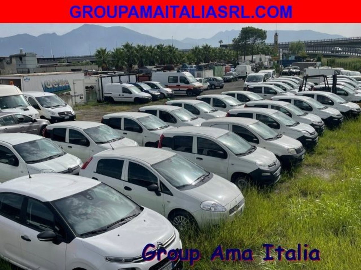 Fiat Panda 1.3 MJT 4x4 Pop Van 2 posti