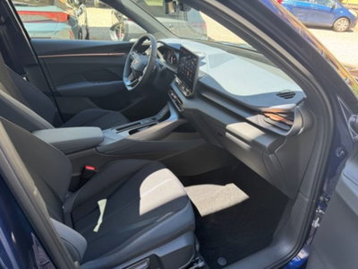 Cupra Terramar 1.5 hybrid 150cv dsg (20)