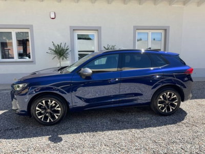 Cupra Terramar 1.5 hybrid 150cv dsg (4)