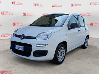 Fiat Panda 1.2 EasyPower Easy usata