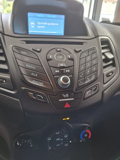 Ford Fiesta 1.5 TDCi 75CV 5 porte ST-Line (15)