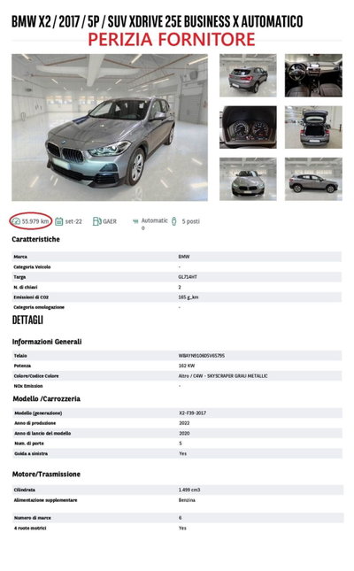 BMW X2 xDrive25e Business-X (14)