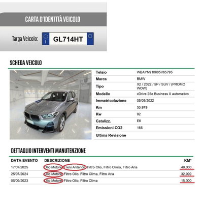BMW X2 xDrive25e Business-X (15)