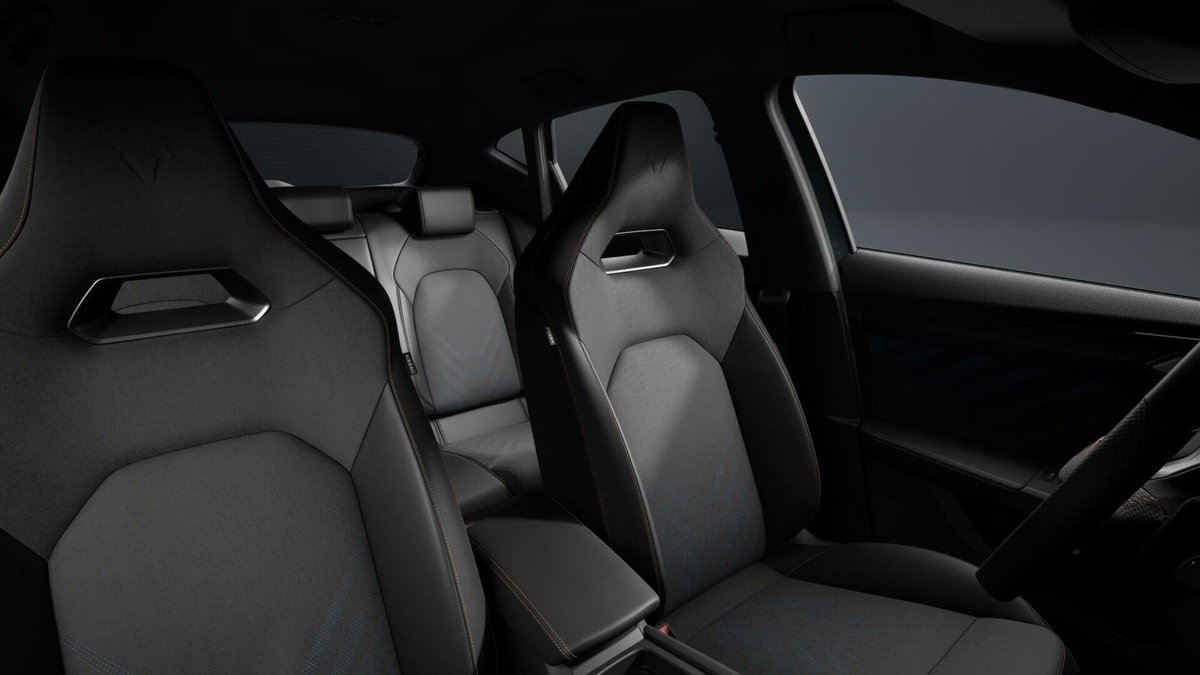 Cupra Formentor Formentor 2.0 TDI (5)