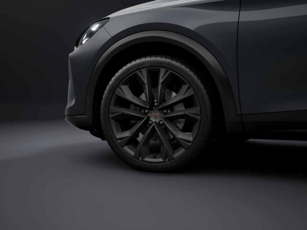 Cupra Formentor Formentor 2.0 TDI (4)