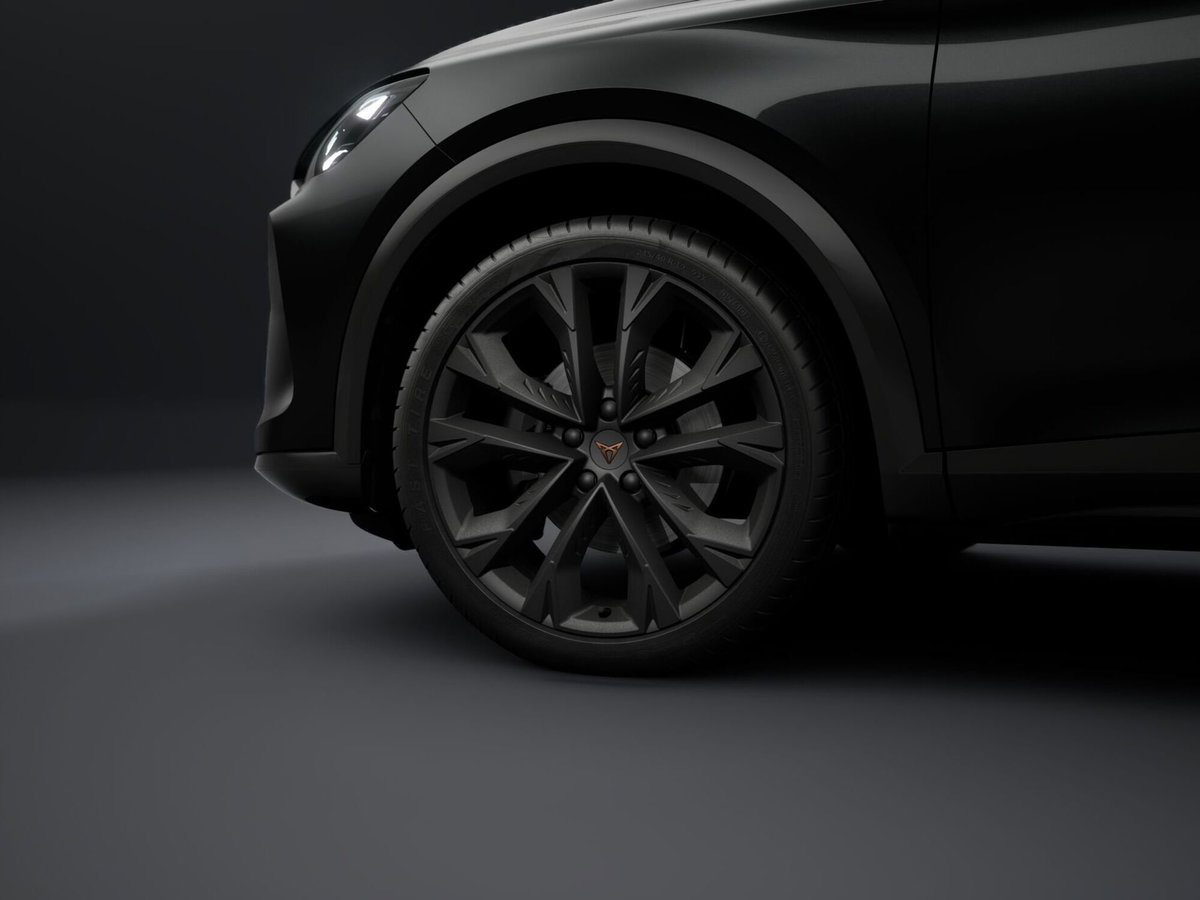 Cupra Formentor Formentor 2.0 TDI (4)