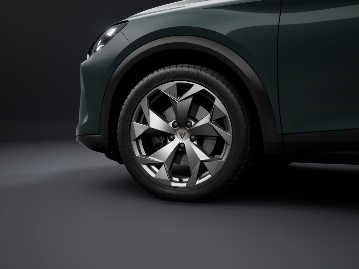 Cupra Formentor Formentor 2.0 TDI (4)