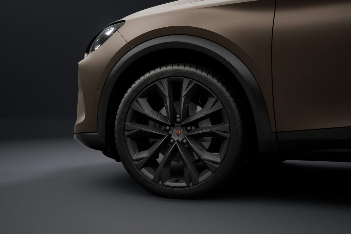 Cupra Formentor Formentor 2.0 TDI (5)