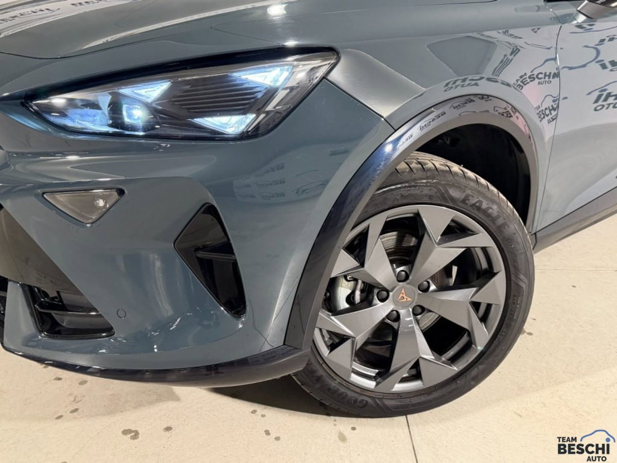Cupra Formentor 1.5 tsi Edge 150cv (14)