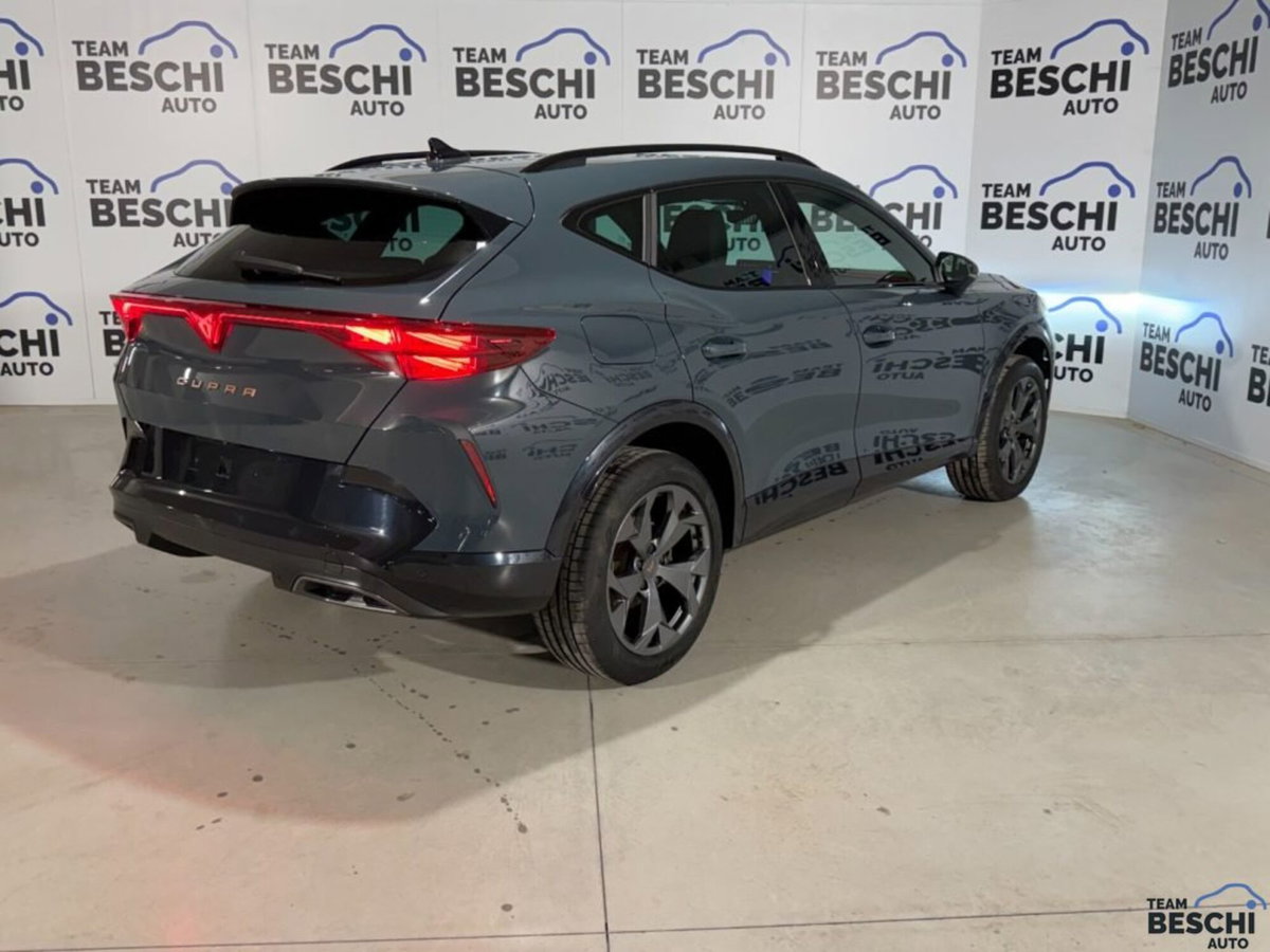 Cupra Formentor 1.5 tsi Edge 150cv (2)