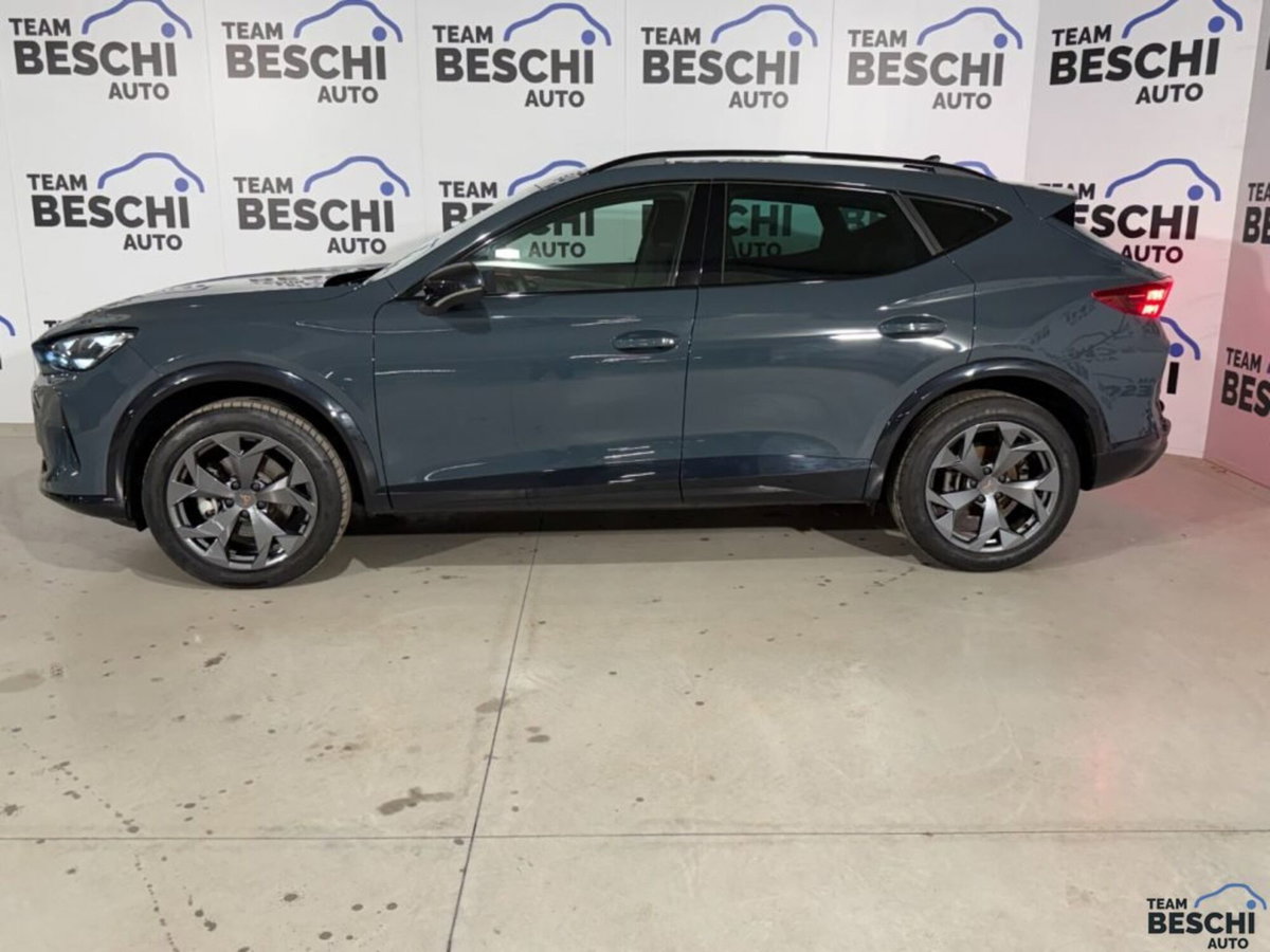 Cupra Formentor 1.5 tsi Edge 150cv (4)