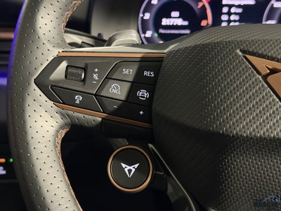 Cupra Terramar 1.5 hybrid 150cv dsg (10)