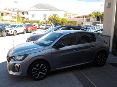 Peugeot 208 1.2 puretech Active s&s 100cv (6)