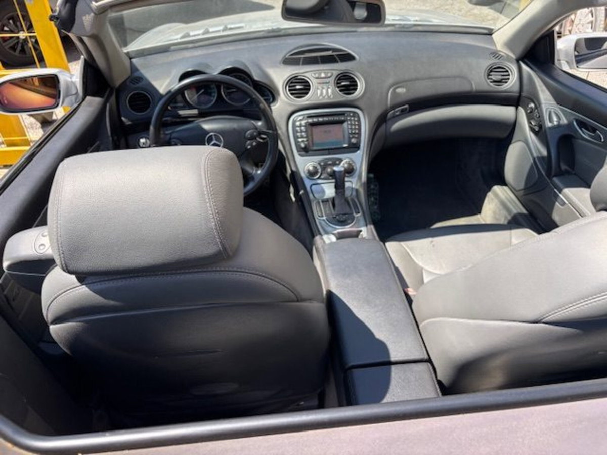 Mercedes-Benz SL 350 cat (10)