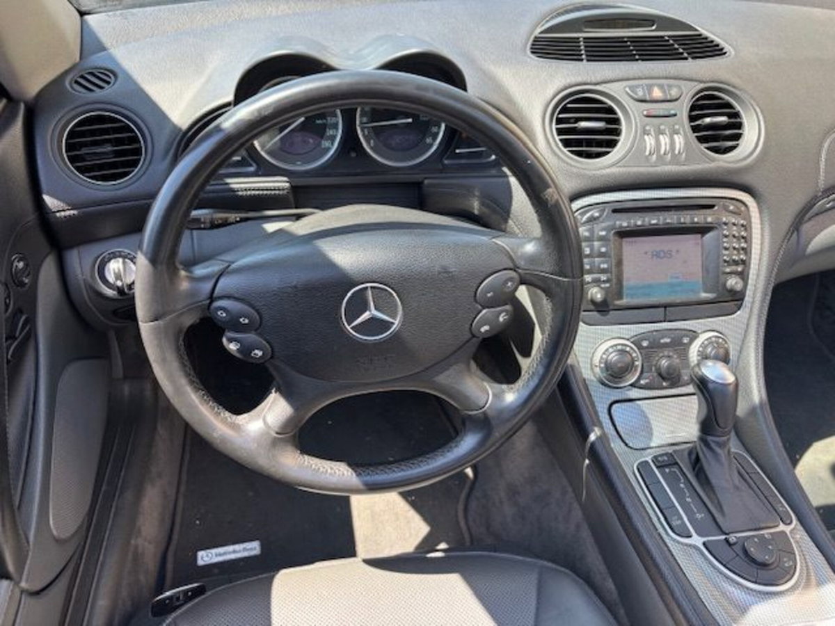Mercedes-Benz SL 350 cat (11)