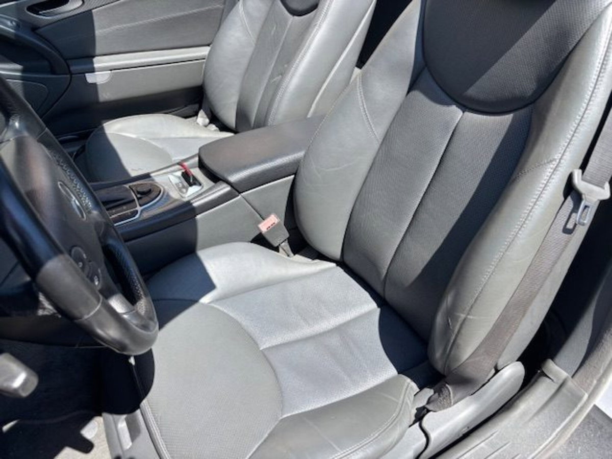 Mercedes-Benz SL 350 cat (12)