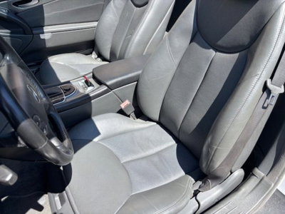 Mercedes-Benz SL 350 cat (12)