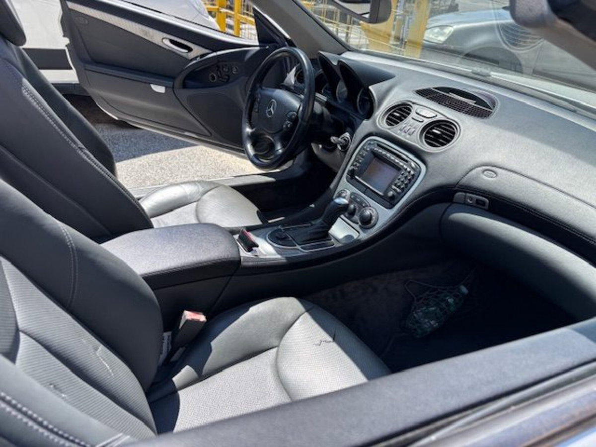 Mercedes-Benz SL 350 cat (13)