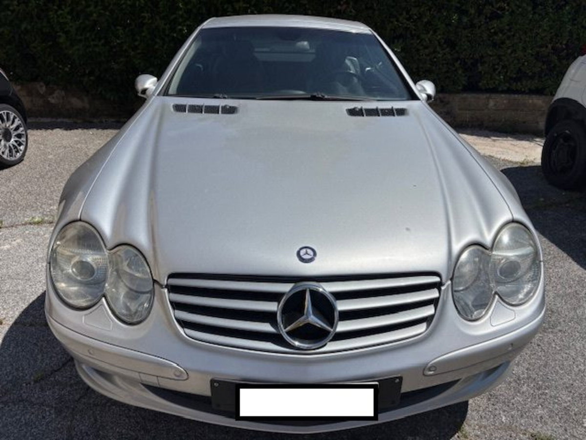 Mercedes-Benz SL 350 cat (2)