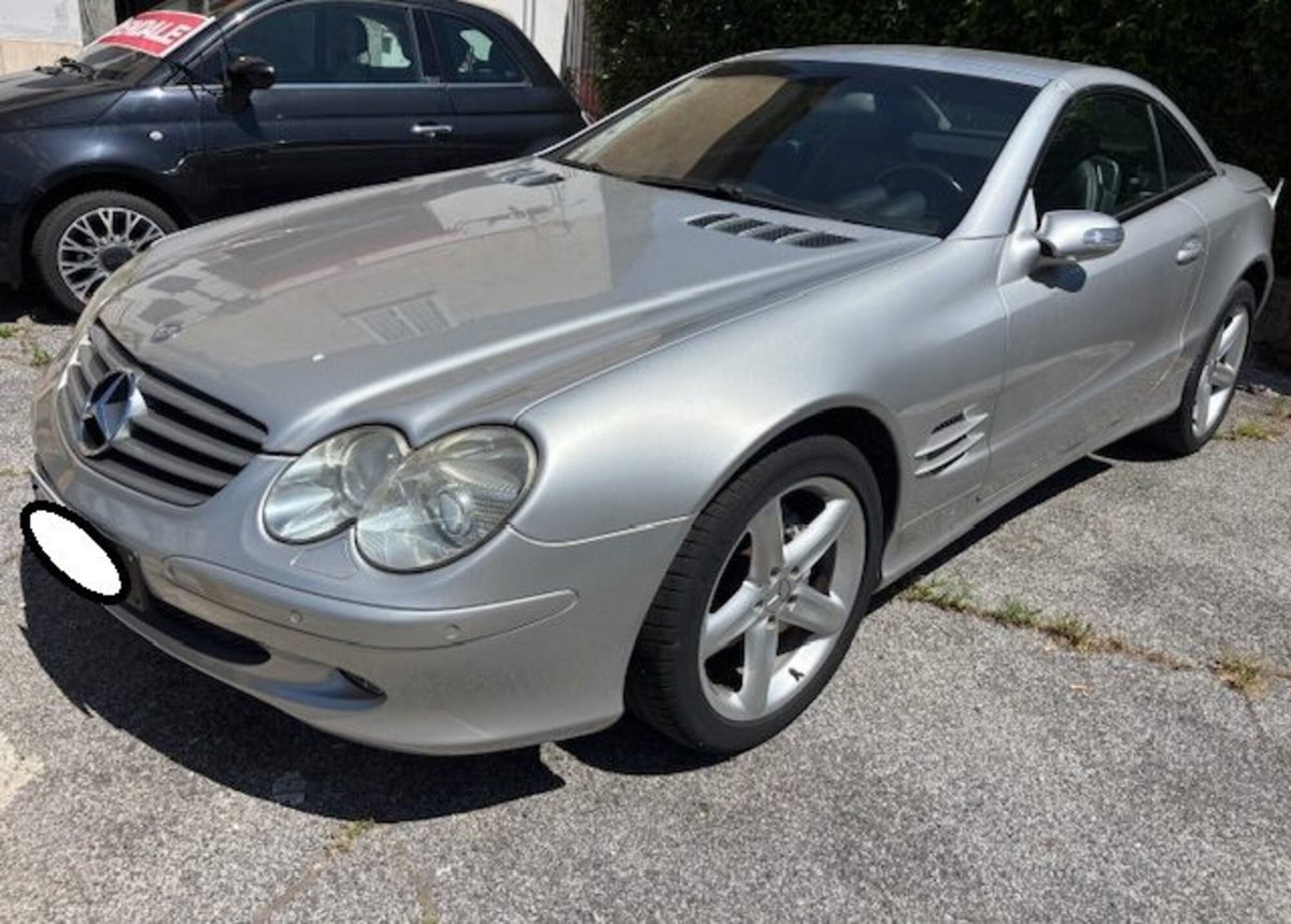 Mercedes-Benz SL 350 cat (3)