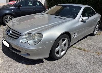 Mercedes-Benz SL 350 cat (3)