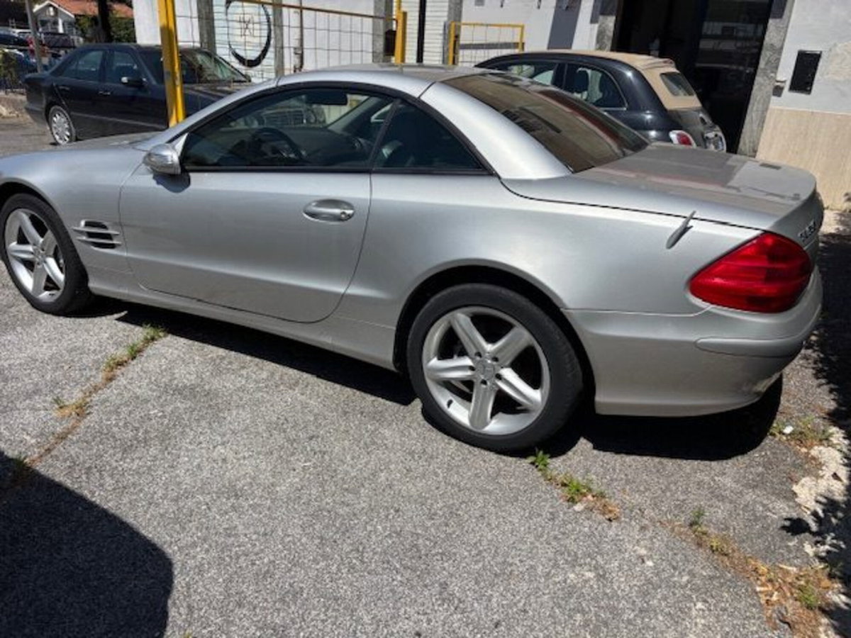 Mercedes-Benz SL 350 cat (4)