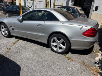 Mercedes-Benz SL 350 cat (4)