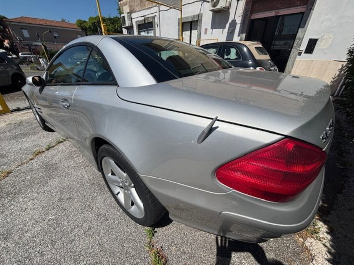Mercedes-Benz SL 350 cat (5)