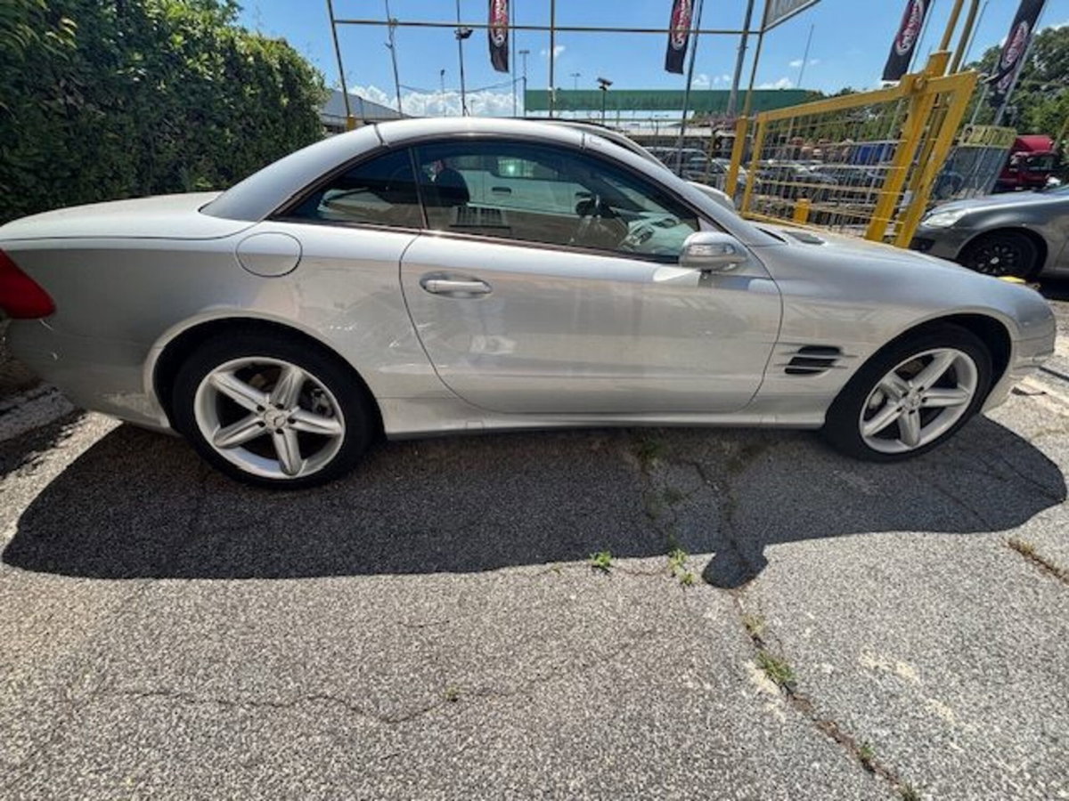 Mercedes-Benz SL 350 cat (6)