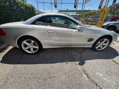 Mercedes-Benz SL 350 cat (6)