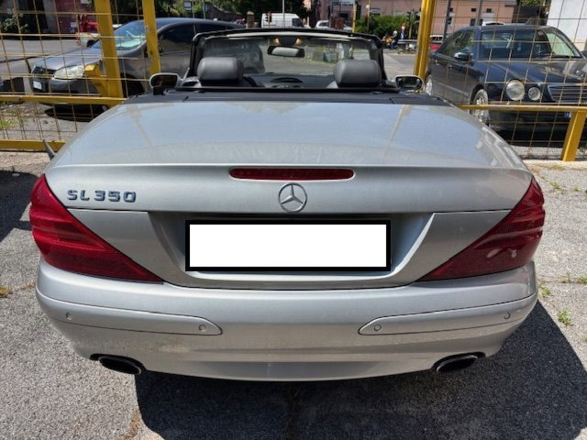 Mercedes-Benz SL 350 cat (7)