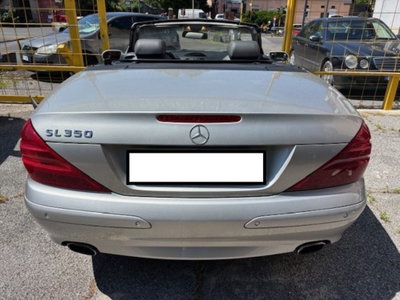 Mercedes-Benz SL 350 cat (7)