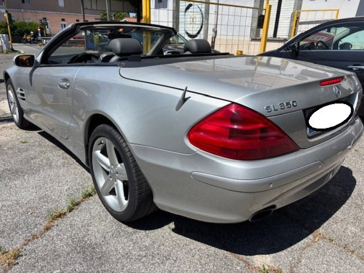 Mercedes-Benz SL 350 cat (8)