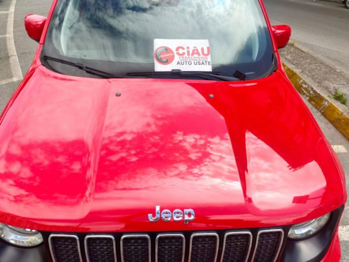 Jeep Renegade 1.6 Mjt 130 CV Longitude (19)