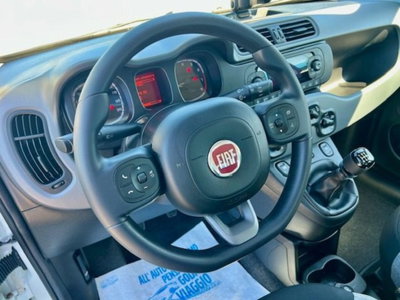 Fiat Panda 1.0 firefly hybrid s&s 70cv 5p.ti (18)