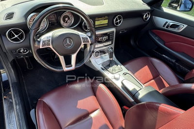 Mercedes-Benz SLK 250 CDI BlueEFFICIENCY Premium (10)